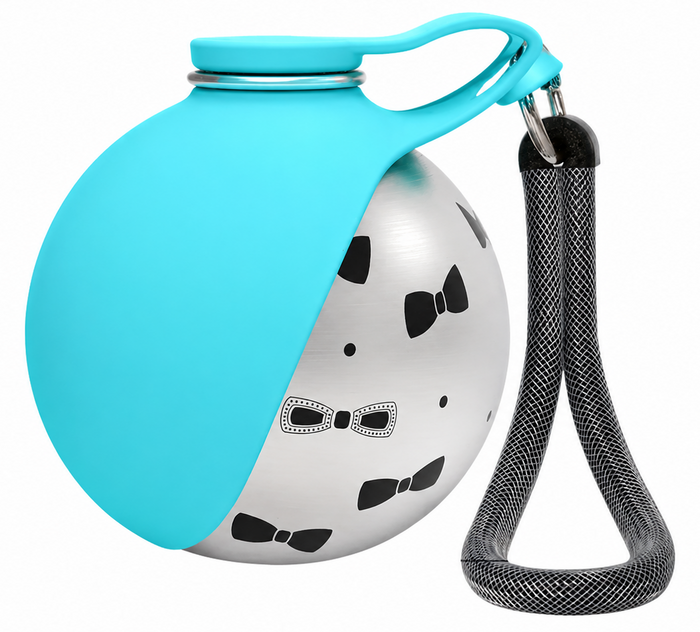 Stainless Steel Travel Bottle